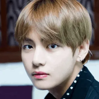 😐 V kpop, singer, idol, bts, korean, celebrity, male telegram sticker