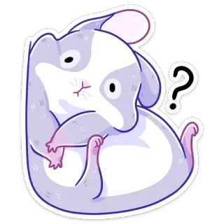 ❓ rato, pergunta, animal, fofo, roedor, desenho animado whatsapp sticker