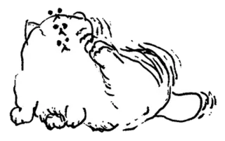 🤍 кот, питомец, животное, рисунок, эскиз, милый telegram sticker