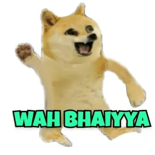 😂 WAH BHAIYYA doge, chó, meme, wah bhaiyya, vui nhộn telegram sticker