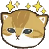 🐱