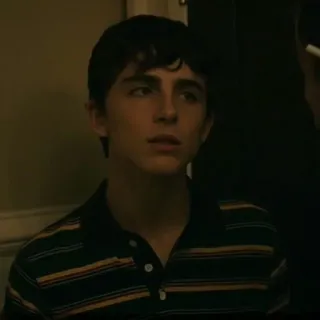 🍃 Timothée Chalamet acteur, portrait, célébrité, homme, beau telegram sticker
