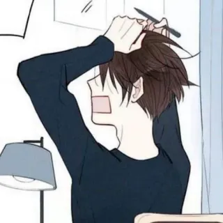 🥞 person, male, hair, drawing, cartoon, style, home telegram sticker