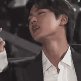 🌺 Jin K팝, 가수, 가운데 손가락, 모욕적인 제스처, 정장, BTS telegram sticker