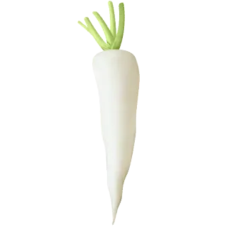 🥕 verdura, daikon, rábano, blanco, comida telegram sticker