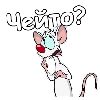 😧 Чейто? muis, cartoon, russisch, vraag, verward, nadenken telegram sticker