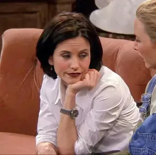 😒 Monica Geller Friends Monica Geller, Friends, série TV, Courteney Cox whatsapp sticker