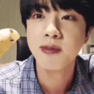 🍜 Jin pessoa, homem, ídolo, biscoito telegram sticker