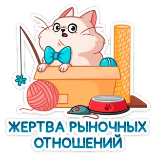 😅 ЖЕРТВА РЫНОЧНЫХ ОТНОШЕНИЙ кот, жертва, рынок, отношения, милый, стикер telegram sticker