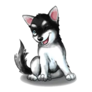 😉 chó, husky, chó con, động vật, dễ thương, thú cưng telegram sticker