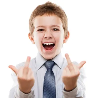 🖕 middle finger, rude, offensive, child telegram sticker
