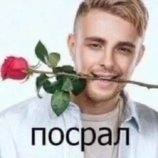🌹 посрал man, roos, aanstootgevend, slang telegram sticker