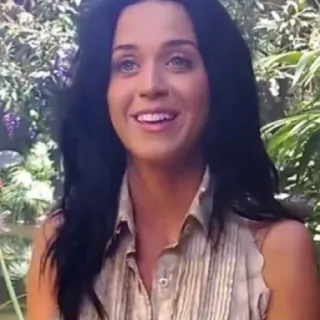 😐 Katy Perry cantante, celebrità, popstar, ritratto, sorridente telegram sticker