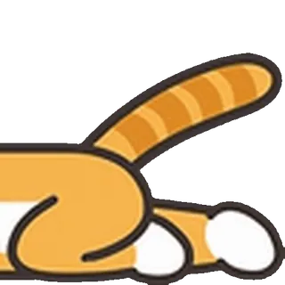 🐈
