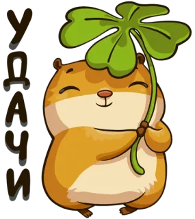 🍀 Удача Вам 仓鼠, 四叶草, 幸运, 好运, 可爱, 动物 whatsapp sticker