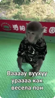 Больше стиков тут: @stikery4 whatsapp stickers