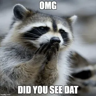 🙊 OMG
DID YOU SEE DAT mapache, omg, viste eso, animal, meme, impactado, divertido whatsapp sticker