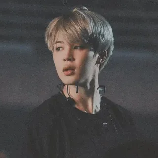 🌚 Jimin kpop, jimin, bts, idool, zanger, beroemdheid, muziek telegram sticker