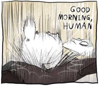 🐱 GOOD MORNING, HUMAN manhã, humano, saudação, desenho animado, personagem, cama telegram sticker