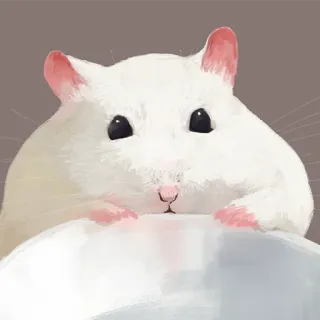 🐹 hamster, animal, pet, cute, white telegram sticker