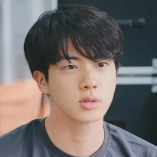 🐹 Jin kpop, sänger, bts, musik, idol, person, promi telegram sticker