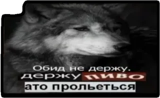 👐 Обид не держу. держу пиво 
ато прольется wolf, tier, bier, text, phrase telegram sticker