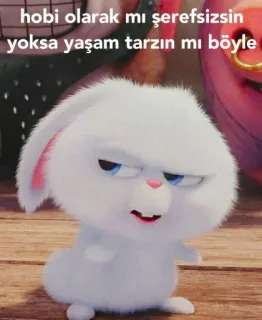 😤 hobi olarak mı şerefsizsin yoksa yaşam tarzın mı böyle 토끼, 밈, 웃긴, 토끼, 빈정거리는, 모욕적인 whatsapp sticker
