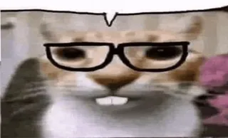 🤓 Katze, Brille, Meme, Tier, Lustig, Haustier whatsapp sticker