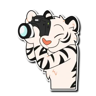 📸 tygrys, fotograf, aparat, zwierzę, kreskówka, naklejka telegram sticker