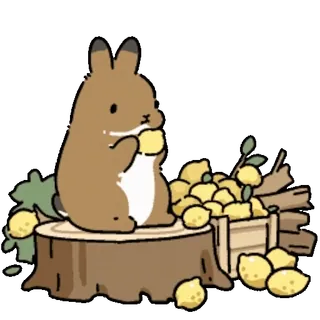 ๐ Bunny telegram sticker