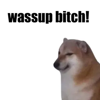 🎭 wassup bitch! 개, 밈, 불쾌한, Cheems, Doge telegram sticker