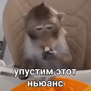 😳 упустим этот нюанс 猴子, 动物, 吃, 搞笑, 表情包 telegram sticker