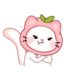 😠 kucing, imut, persik, stiker, binatang whatsapp sticker