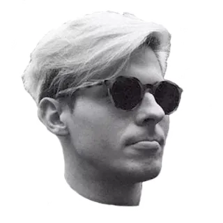 😐 homme, lunettes de soleil, portrait, tête, visage, personne telegram sticker