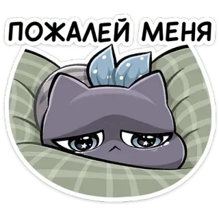🥺 Пожалей меня แมว, เศร้า, น่ารัก, การ์ตูน, สัตว์ telegram sticker