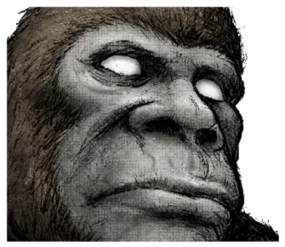 😳 monstro, macaco, sasquatch, criptídeo, pé grande telegram sticker