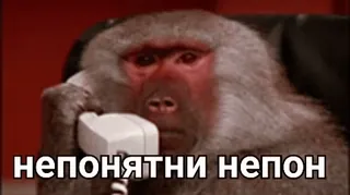 😉 непонятни непон Pavian, Affe, Handy, verwirrt telegram sticker