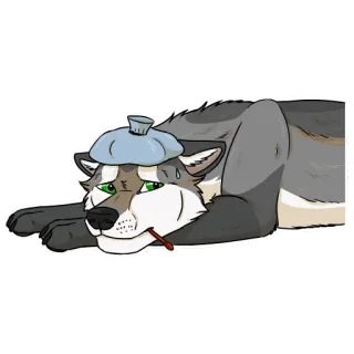 🤢 lobo, enfermo, enfermedad, dibujo animado, animal, resfriado, gripe whatsapp sticker