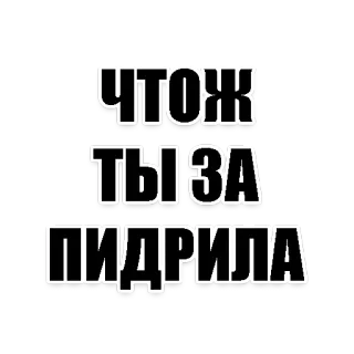 😾 ЧТОЖ
ТЫ ЗА ПИДРИЛА 俄语, 侮辱, 冒犯, 文字 telegram sticker