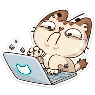 😮 kucing, komputer, laptop, stiker, binatang, teknologi telegram sticker