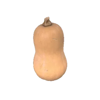 🎃 butternut squash, vegetable, food, squash, fall, autumn whatsapp sticker