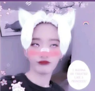 👽 I WANNA BE TREATED LIKE A PRINCESS princesa, lindo, kawaii, filtro, selfie, belleza telegram sticker