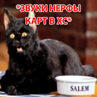 Salem @stickersb2b whatsapp stickers