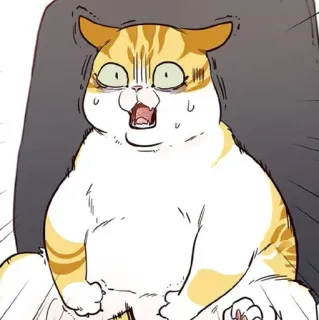 🐈 mèo, sốc, hoảng sợ, sợ hãi, động vật, phim hoạt hình, biểu cảm telegram sticker