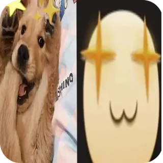 🐶 狗, 金毛寻回犬, 动物, 可爱, 星星, 梗 telegram sticker