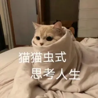 🥲 猫猫虫式 思考人生 gato, manta, lindo, mascota, animal, pensando telegram sticker