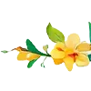 🌼