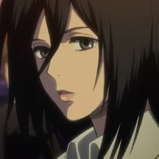 🗡 Mikasa Ackerman Attack on Titan anime, character, mikasa, attack on titan, manga, portrait telegram sticker