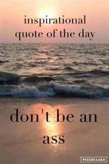 🖕 inspirational quote of the day
don't be an ass inspiracional, citação, praia, pôr do sol, bunda, humor telegram sticker