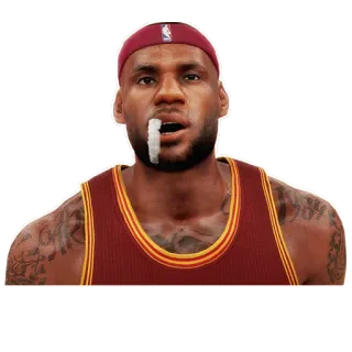 😨 LeBron James pallacanestro, NBA, atleta, sport, LeBron James telegram sticker